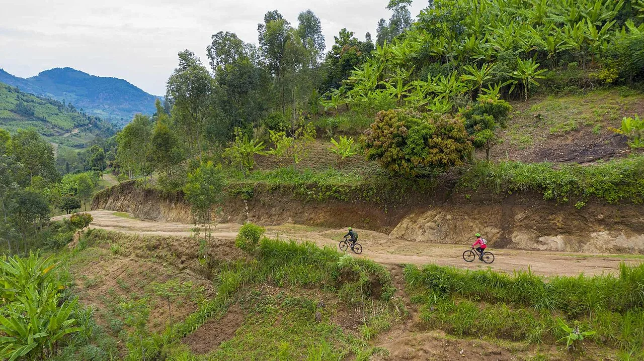 Cyclists follow a dirt road through the green hills along the Congo Nile Trail in Rwanda.