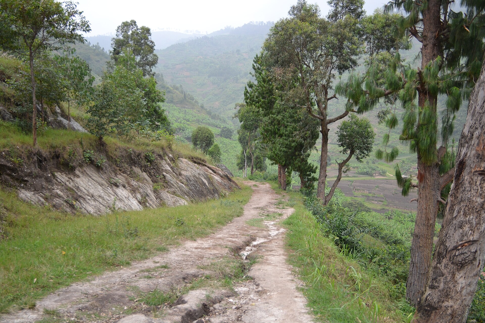 Ifoto igaragaza Gutembera mu nzira ya Congo-Nile mu Rwanda