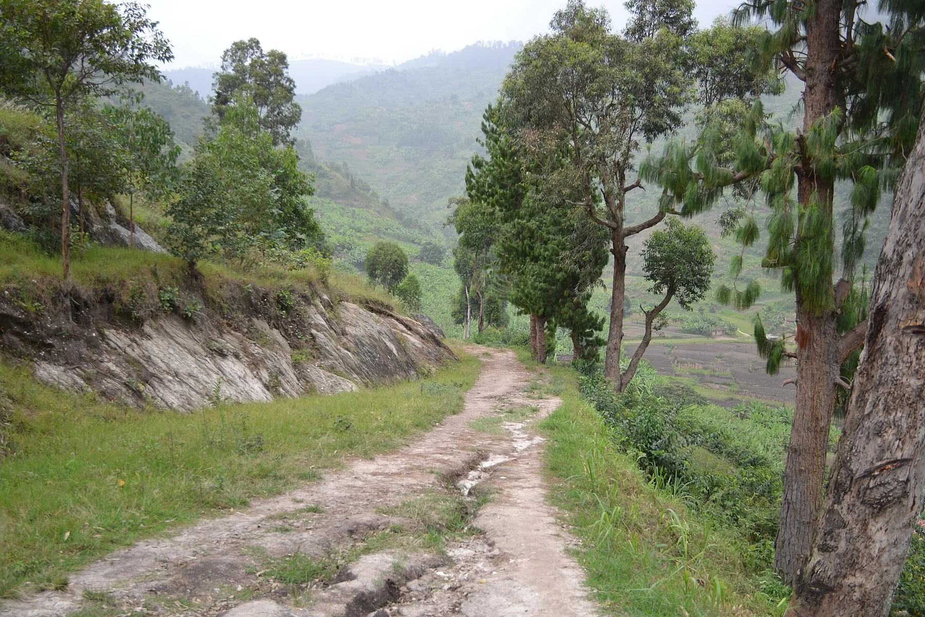 A footpath runs along the wooded and cultivated hills of the Congo Nile Trail.
